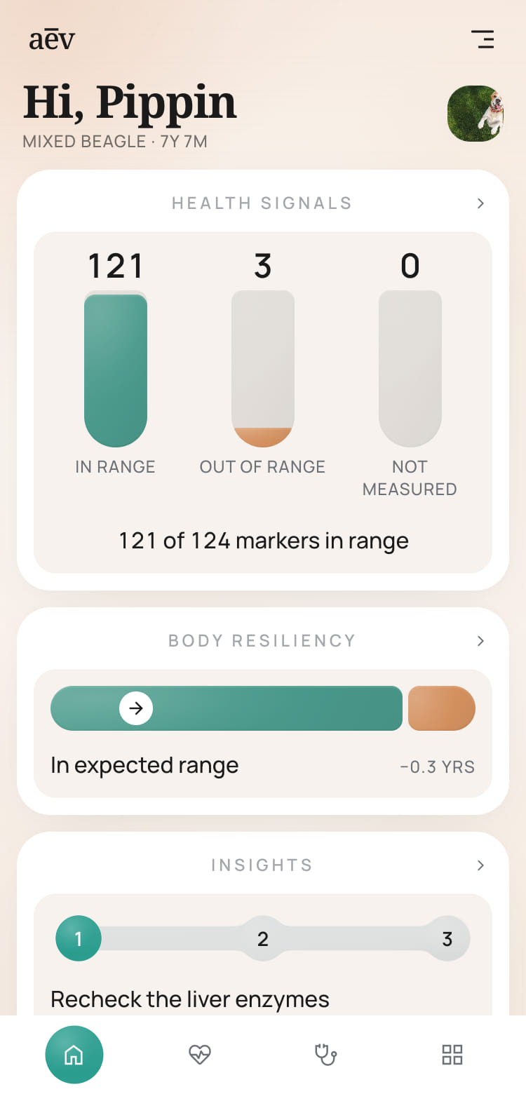 An example of a dog's own page in the aev app: a greeting with the dog's name and photo, then separate cards for health signals with markers in range, out of range and not measured, body resiliency as a single bar in the expected range, and insights, above the app's navigation bar